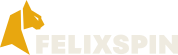 Felixspin Casino